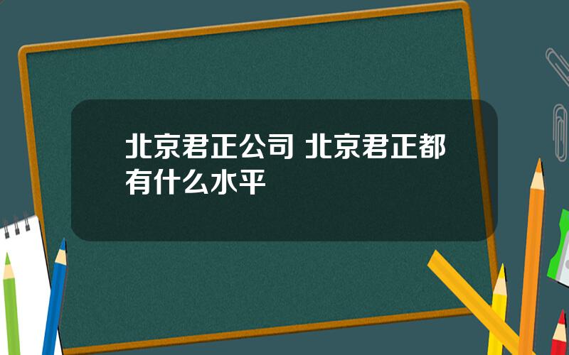北京君正公司 北京君正都有什么水平